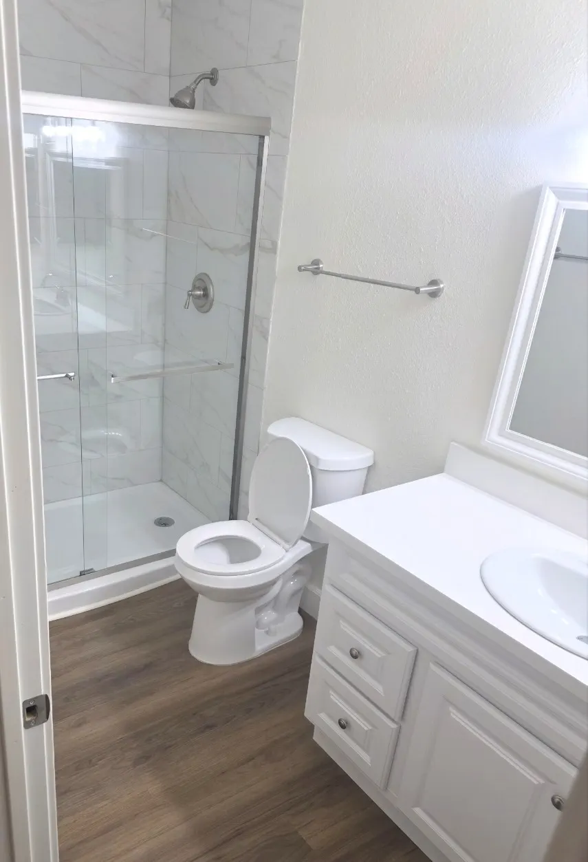 A bathroom with a glass-door shower, a white vanity and a plank floor