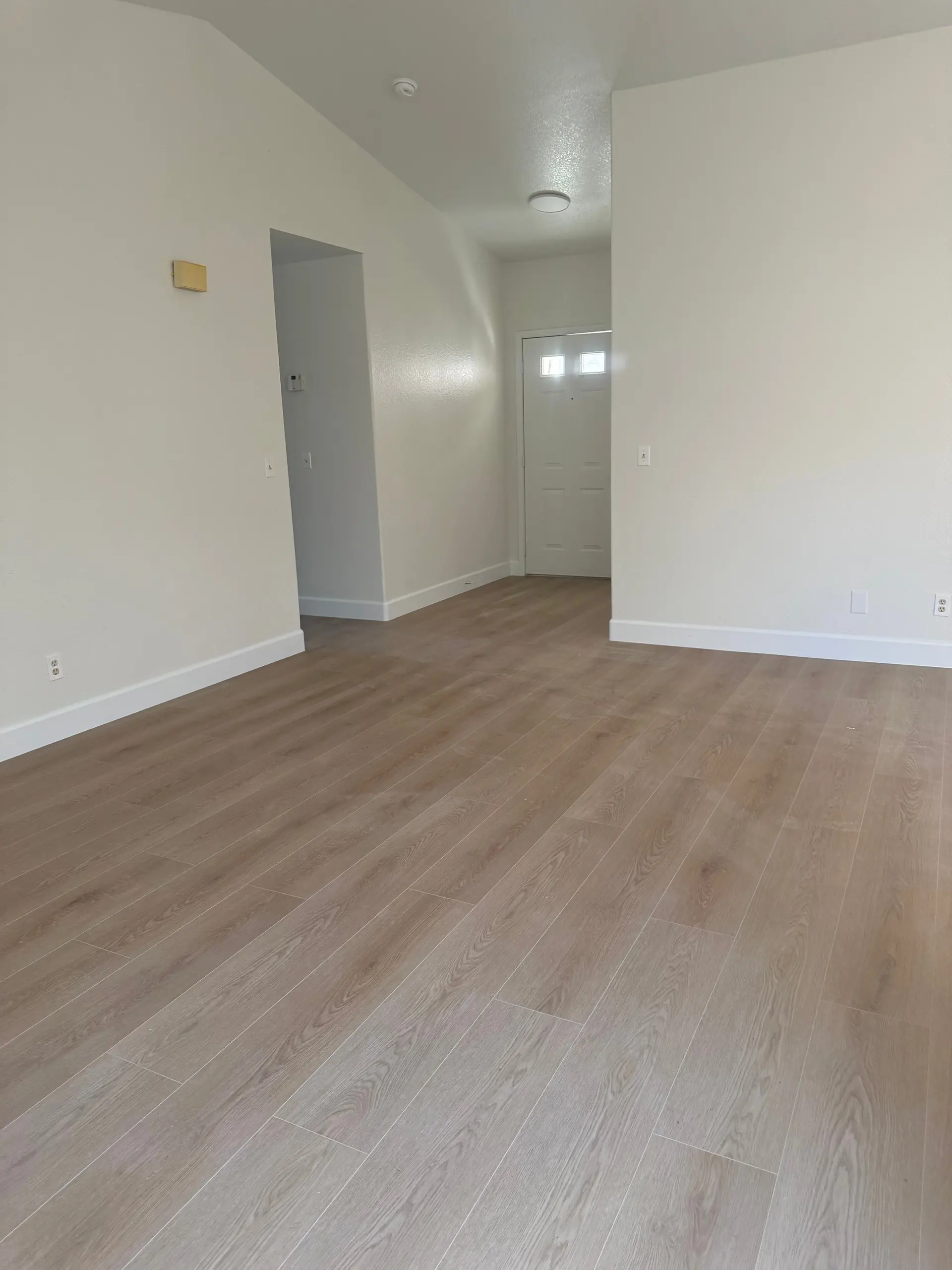 An entry and living room with a light plank floor