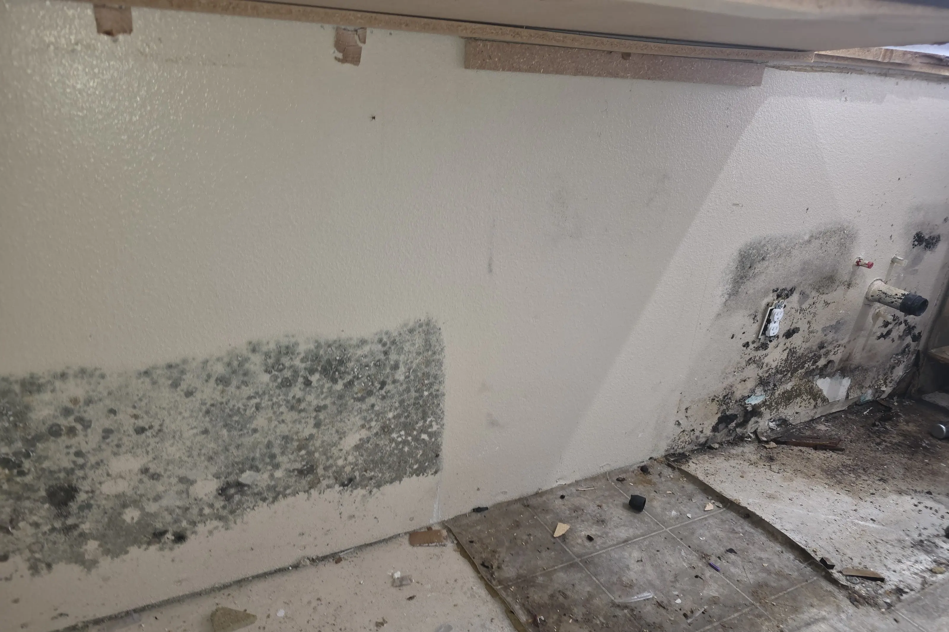 Dark mold growth across a kitchen wall and floor after the base cabinets were taken out