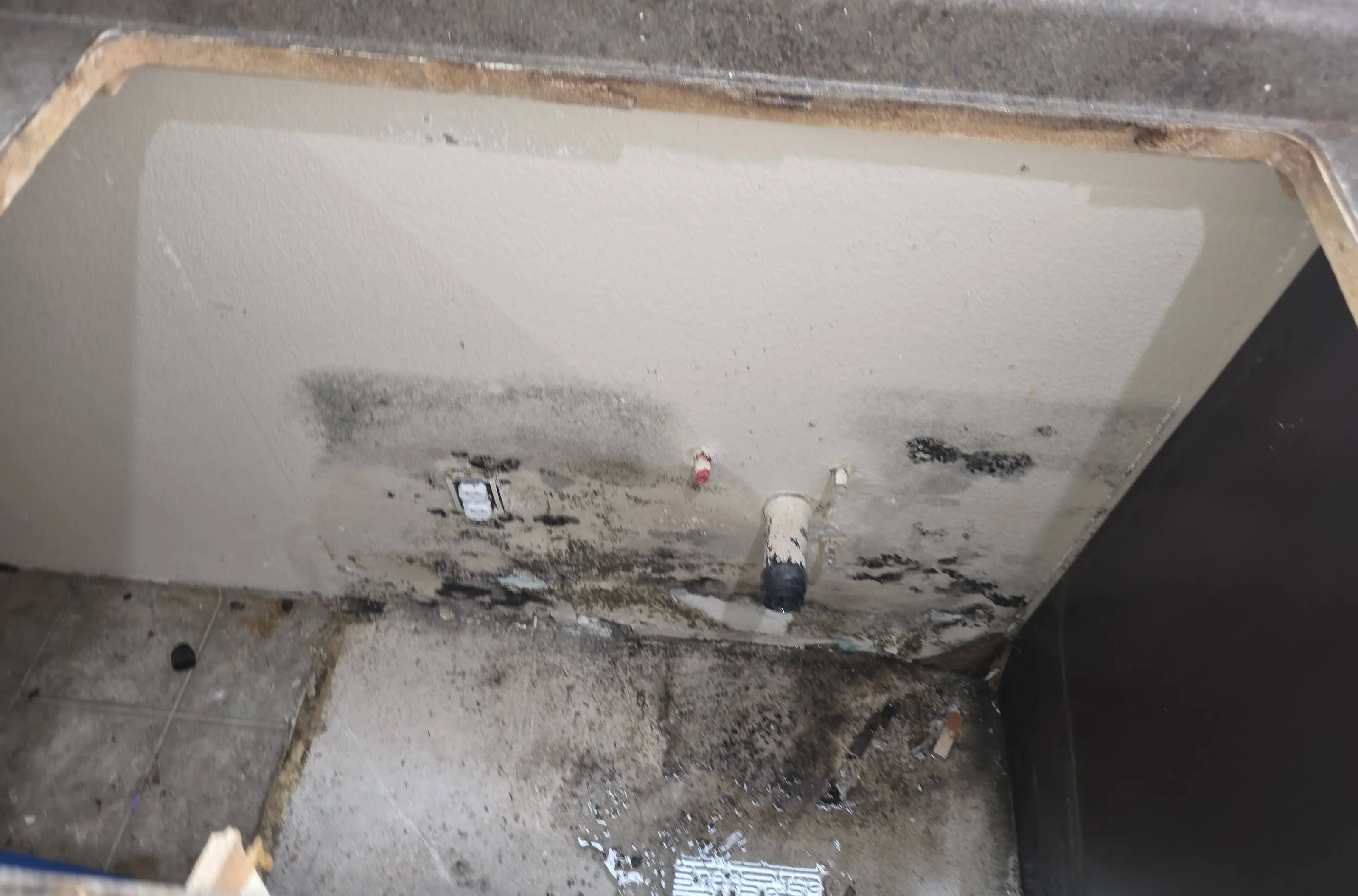 Mold on the wall and floor inside an open sink base cabinet